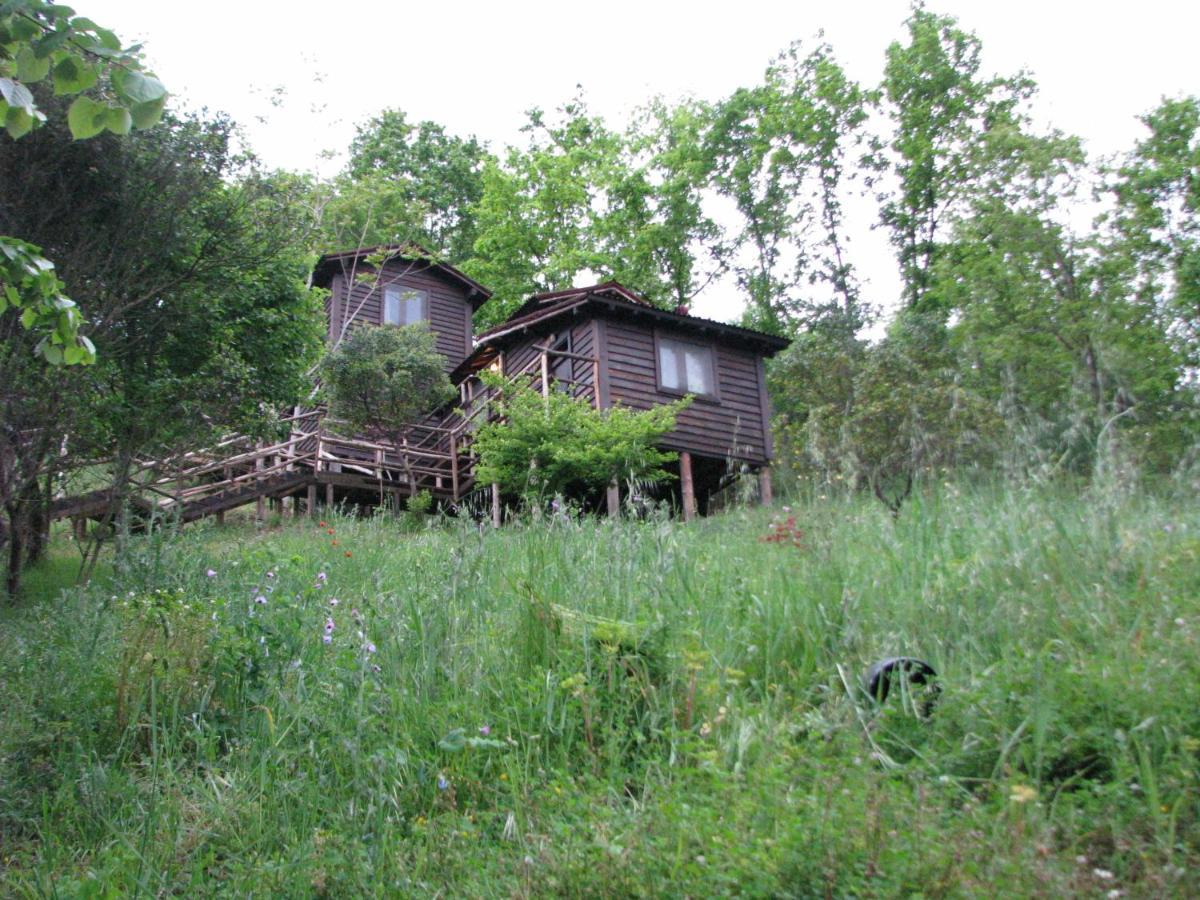 Kulindag Dag Evi İstanbul