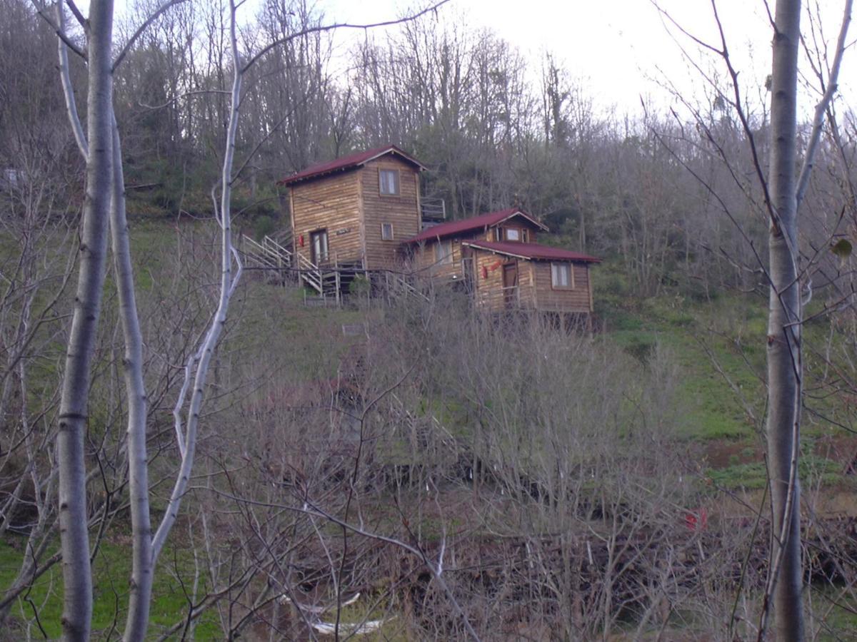Kulindag Dag Evi * İstanbul